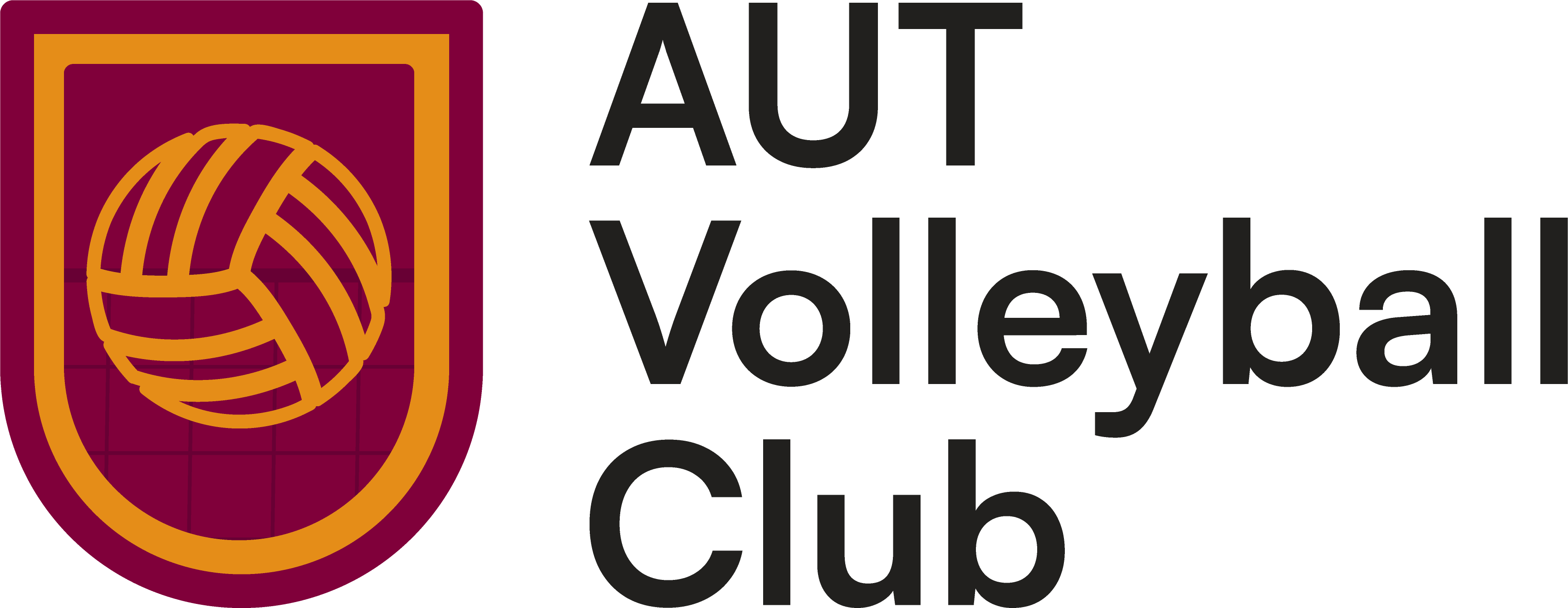 Volleyball Club